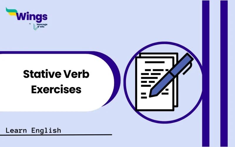 Stative Verb Exercises