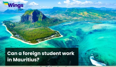 Can a foreign student work in Mauritius