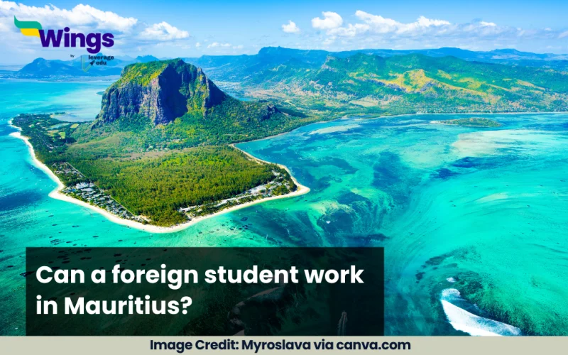 Can a foreign student work in Mauritius