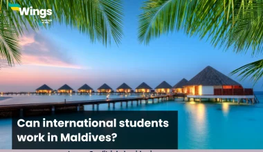 Can international students work in Maldives