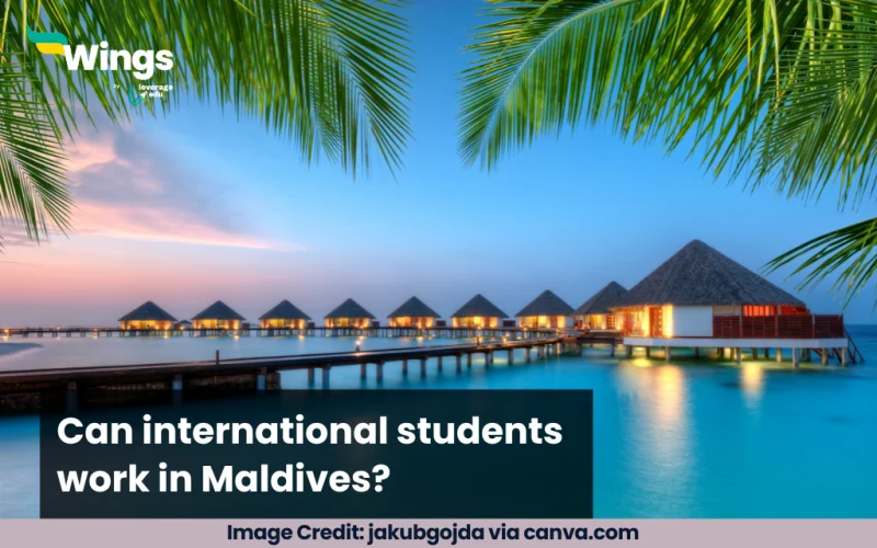 Can international students work in Maldives