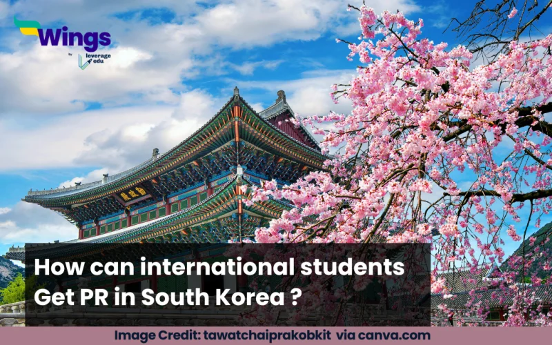 How can international students get PR in South Korea