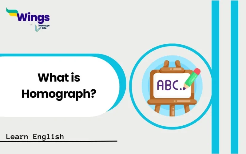 What is Homograph