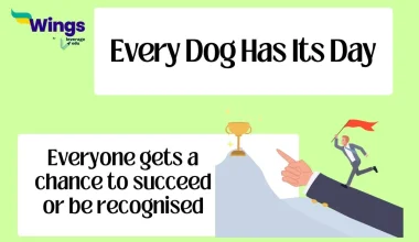 Every Dog Has Its Day meaning