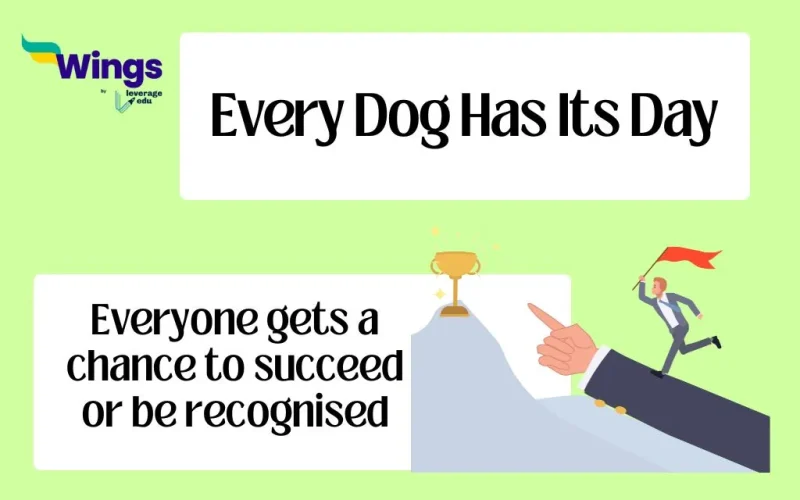 Every Dog Has Its Day meaning