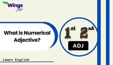 What is Numerical Adjective
