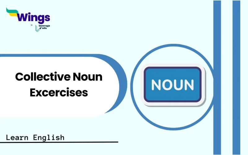 Collective Noun Excercises