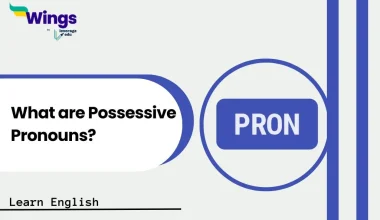 What are Possessive Pronouns
