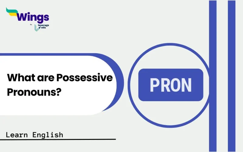 What are Possessive Pronouns