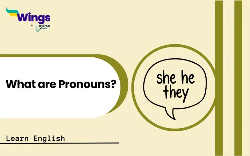 What are Pronouns