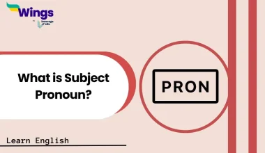What is Subject Pronoun