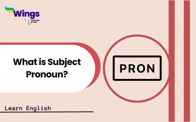 What is Subject Pronoun