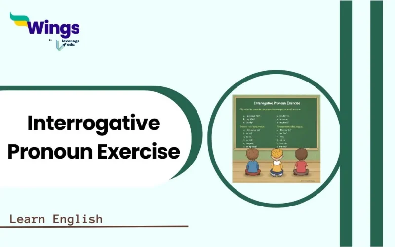 Interrogative Pronoun Exercise