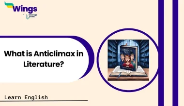 What is Anticlimax in Literature