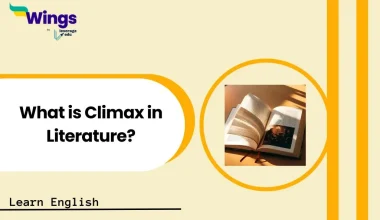 what is climax in literature