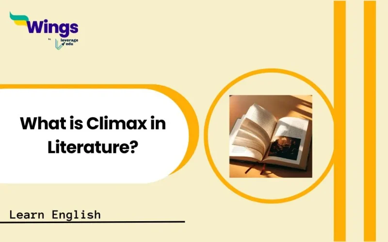 what is climax in literature