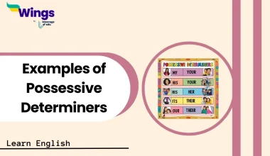 Examples of Possessive Determiners