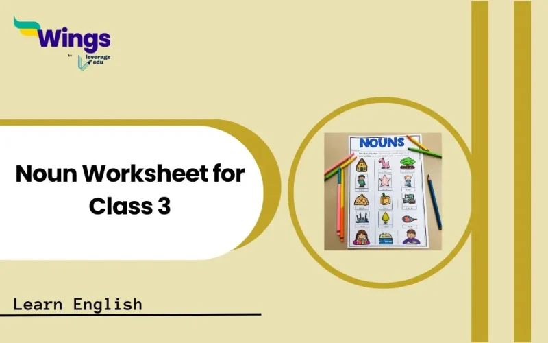 Noun Worksheet for Class 3