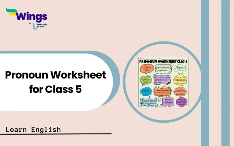 Pronoun Worksheet for Class 5