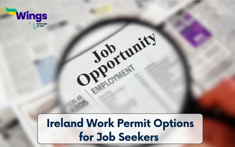 Ireland Work Permit Options for Job Seekers