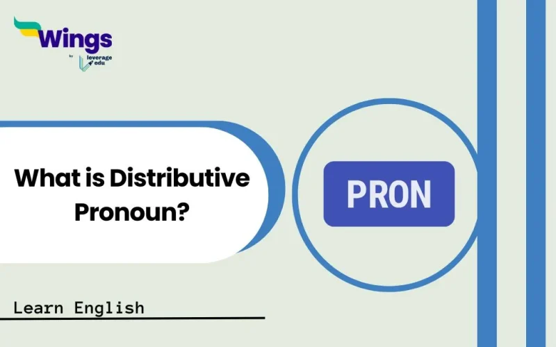 What is Distributive Pronoun