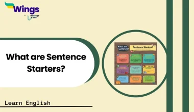 What are Sentence Starters