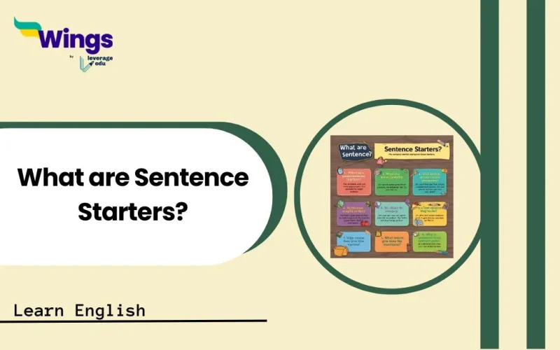 What are Sentence Starters