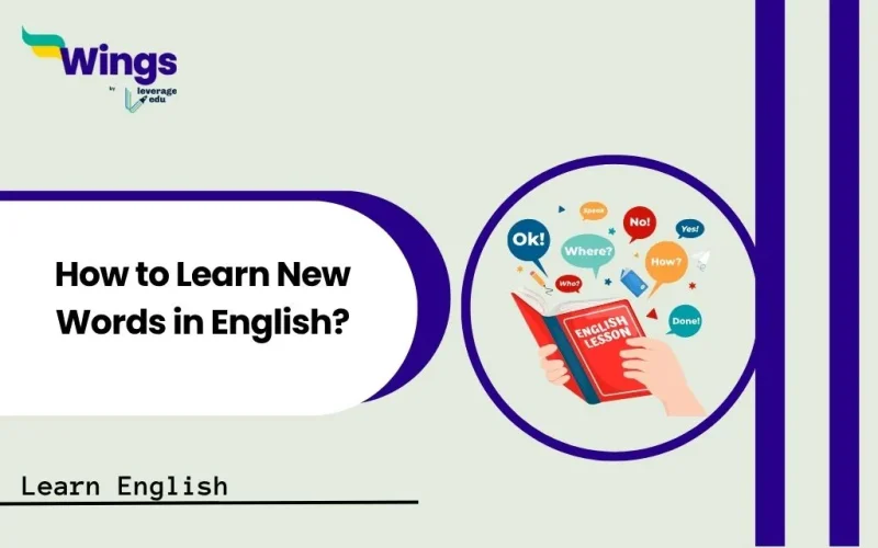 How to Learn New Words in English