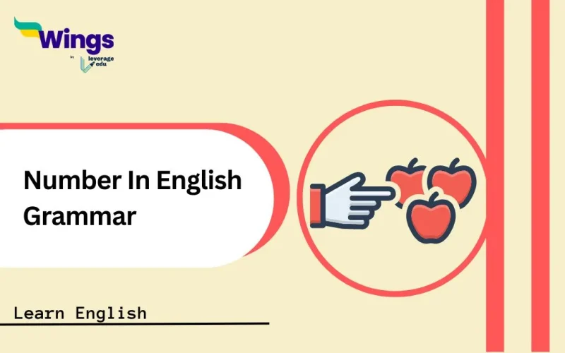 Number In English Grammar