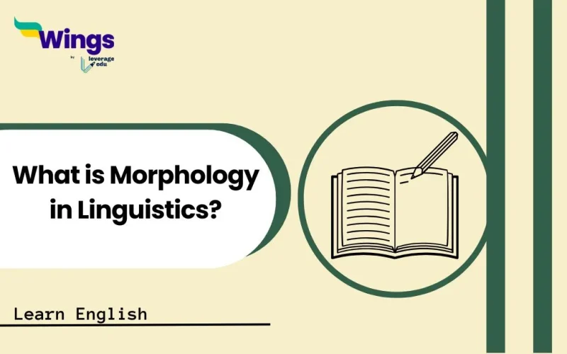 What is Morphology in Linguistics