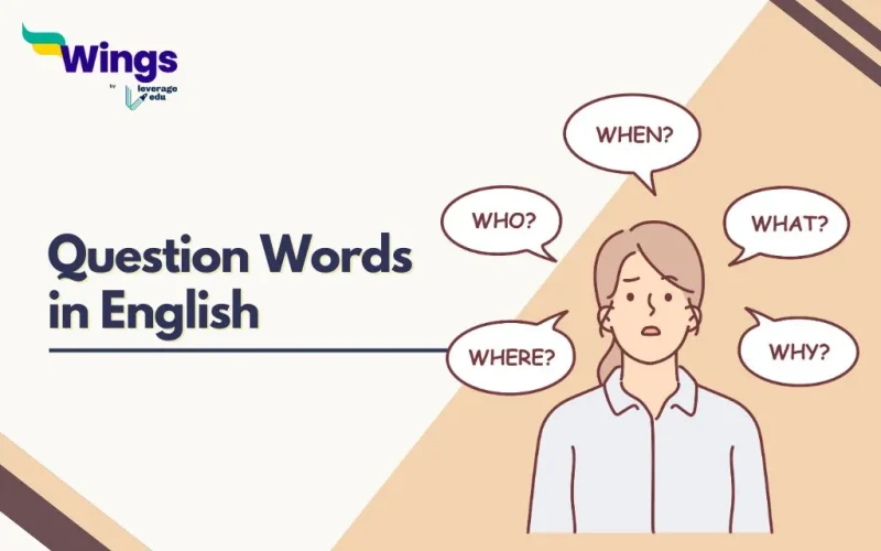 Question words in English grammar