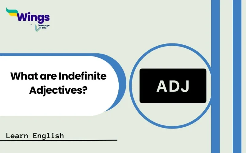 What are Indefinite Adjectives
