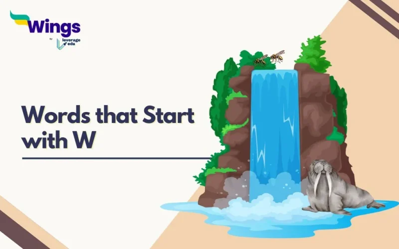 Words that Start with W