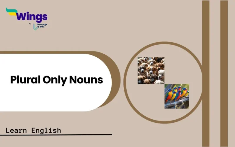 Plural Only Nouns