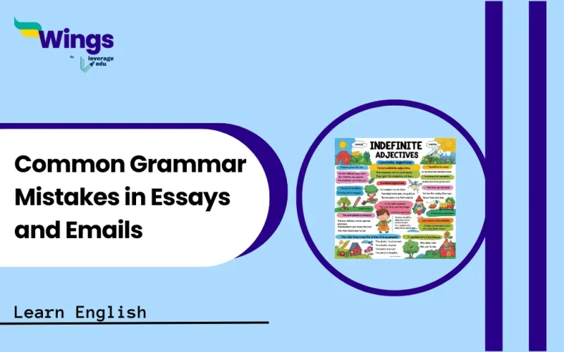 Common Grammar Mistakes in Essays and Emails