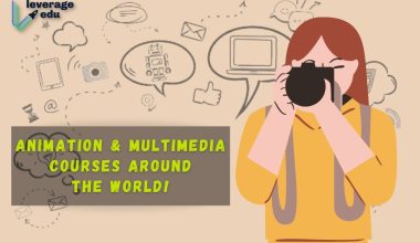 Animation and Multimedia Courses