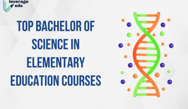 top bachelor of science in elementary education Courses