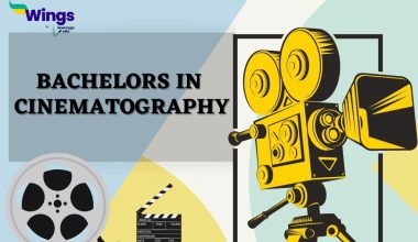 Bachelors in Cinematography