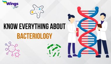 Bacteriology