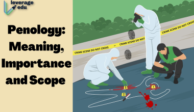 Penology: Meaning, Importance and Scope