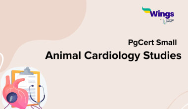 PgCert Small Animal Cardiology Studies