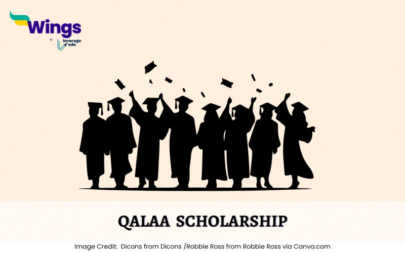 qalaa scholarship