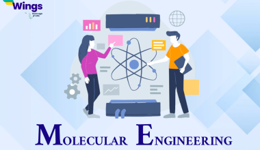 Molecular Engineering