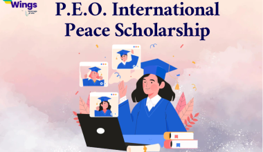 international peace scholarship