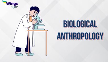 Biological Anthropology