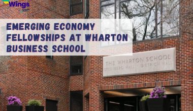 emerging economy fellowships