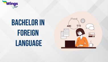 bachelor in foreign language