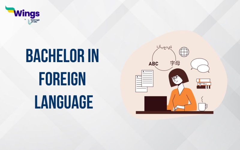 bachelor in foreign language