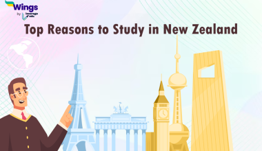 reasons to study in new zealand