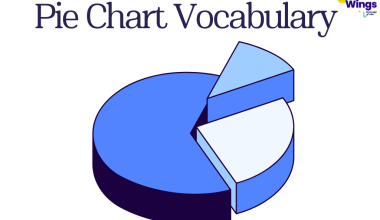 Pie Chart Vocabulary